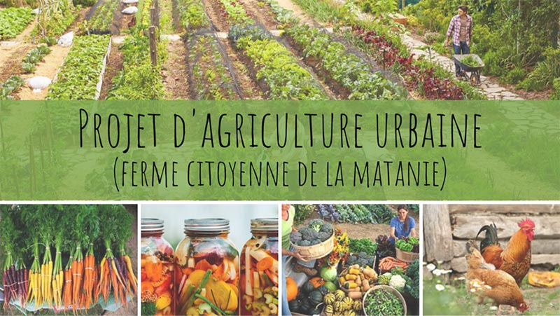 Projet d’agriculture urbaine